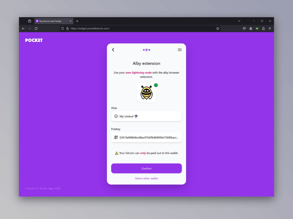 Screenshot of the screen after connecting the Lightning node