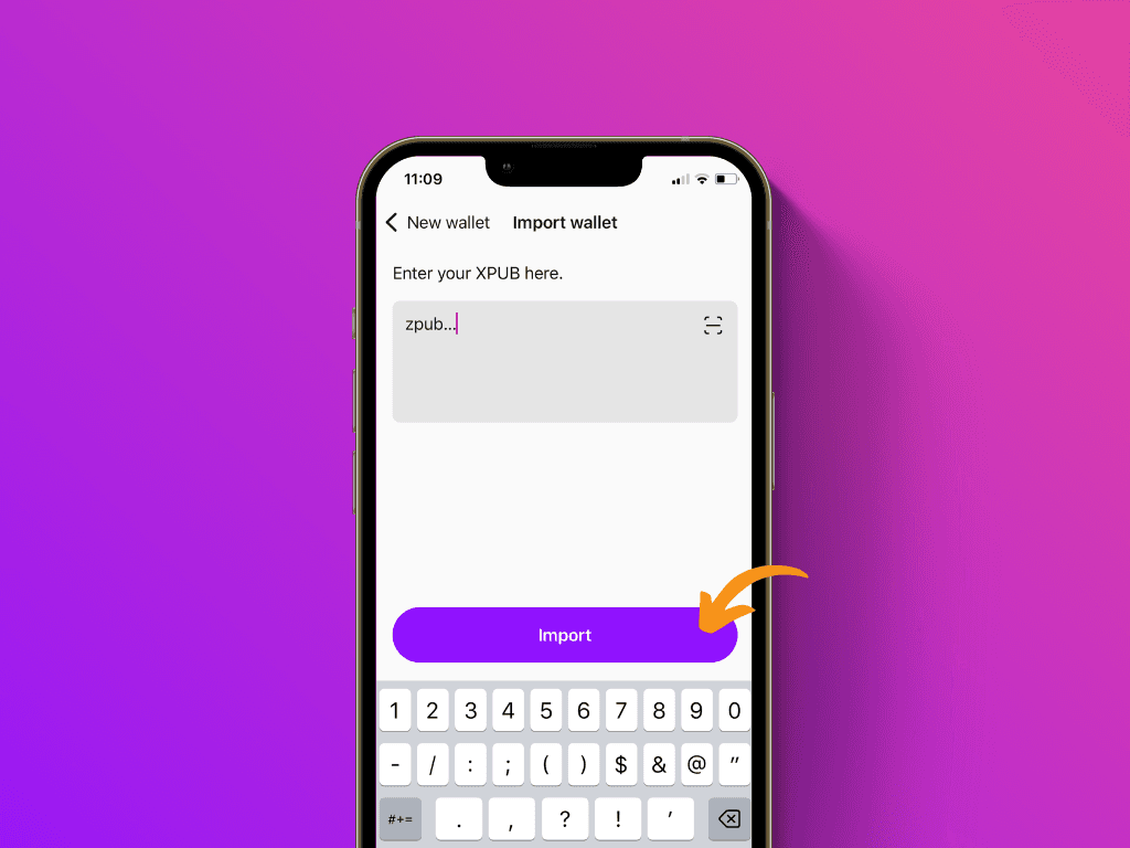 Screenshot of the Pocket App on the XPub import screen