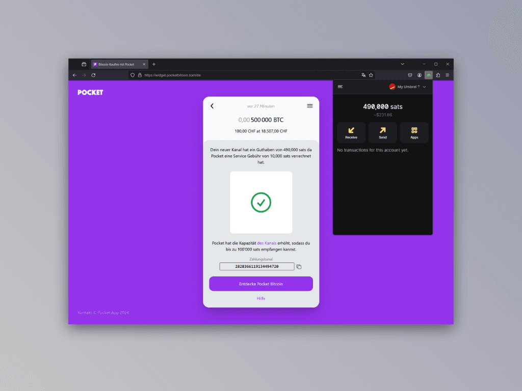 Bildschirmfoto des Auszahlungs-Screens nach erfolgreicher Ethereum-Auszahlung