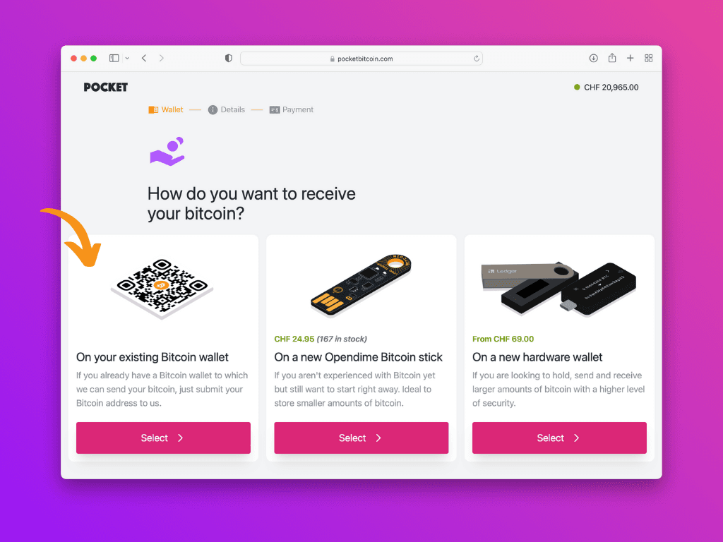 Screenshot of the Pocket website with the existing ethereum wallet option