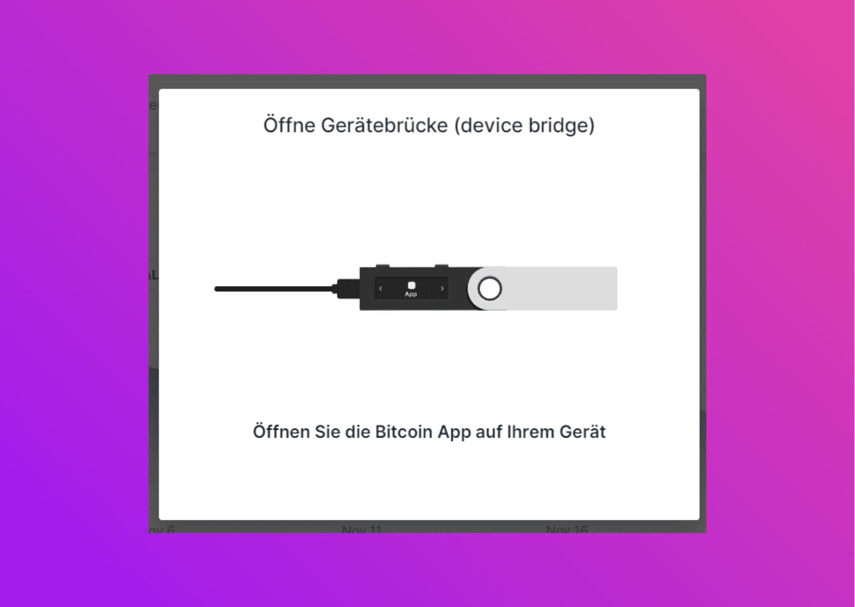 Bildschirmfoto mit der Aufforderung das Ethereum Wallet zu öffnen