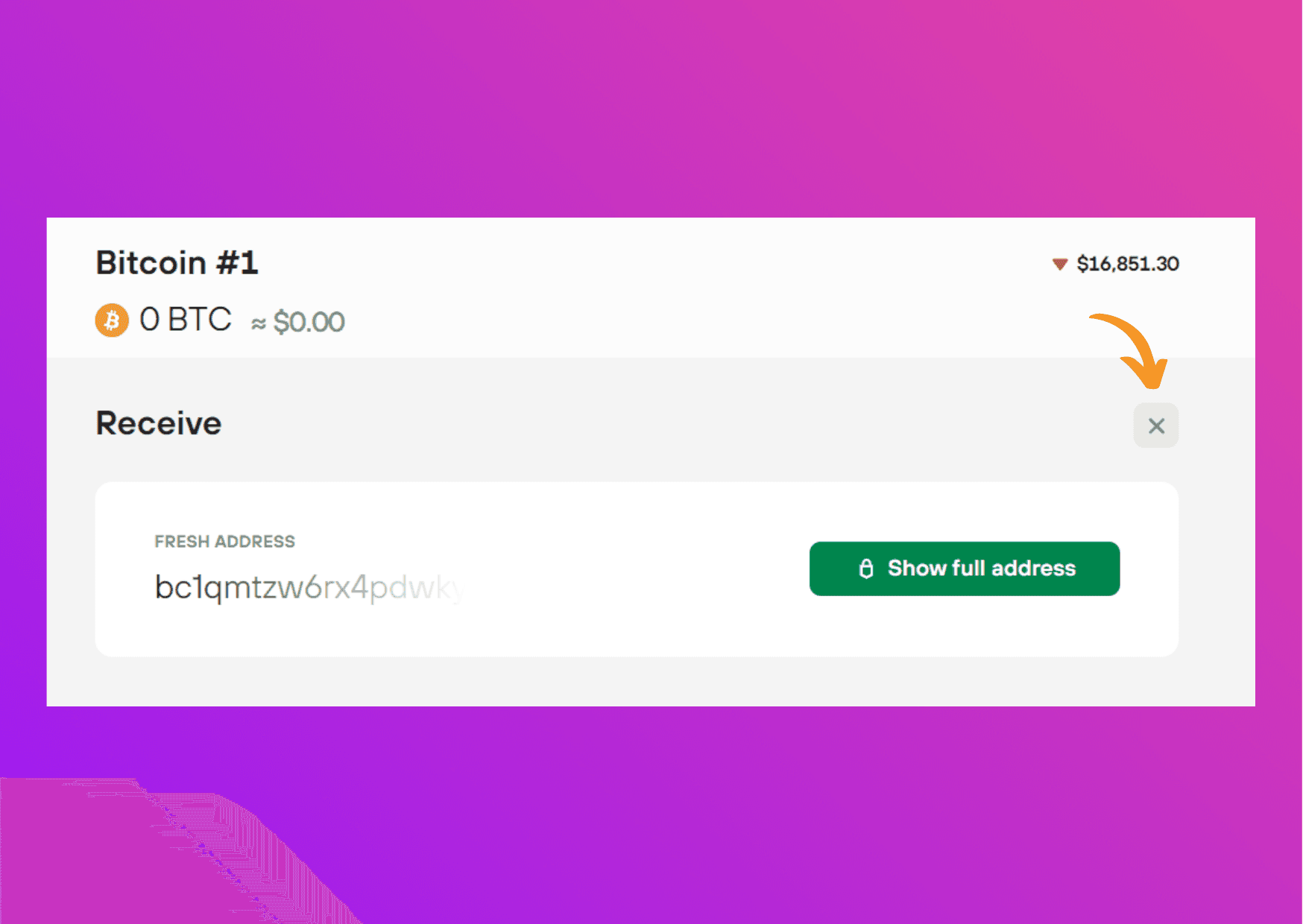 Show screen capture Trezor Suite address
