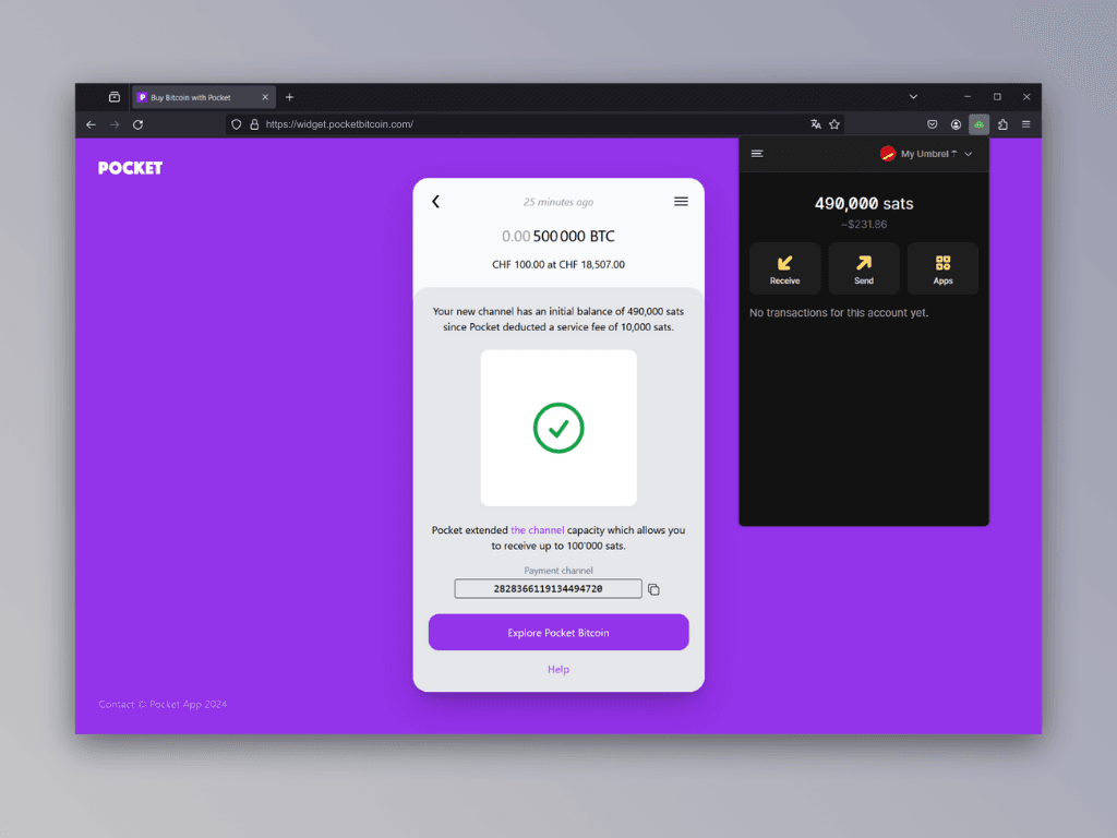 Screenshot of the channel payout confirmation screen from Pocket's Lightning Top-Up Service